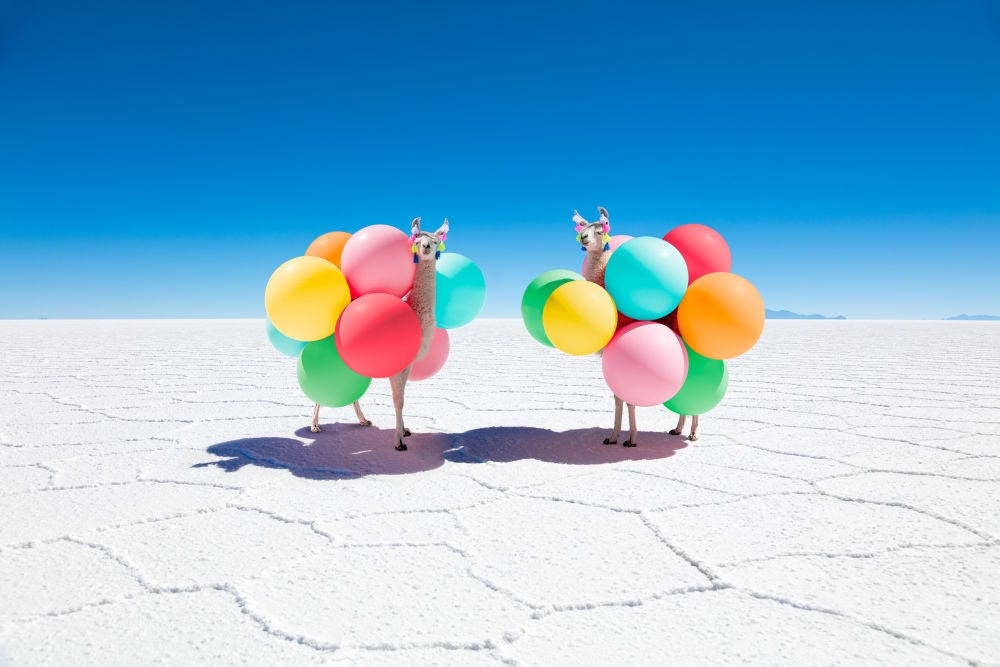 Two Llamas with Color Balloons