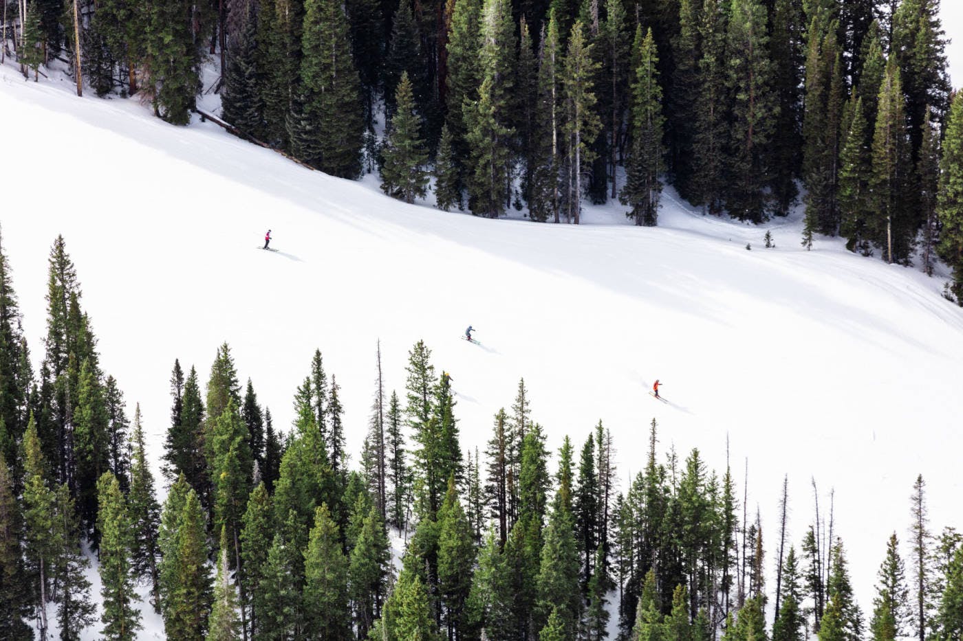 Three_Skiers__Aspen.jpeg