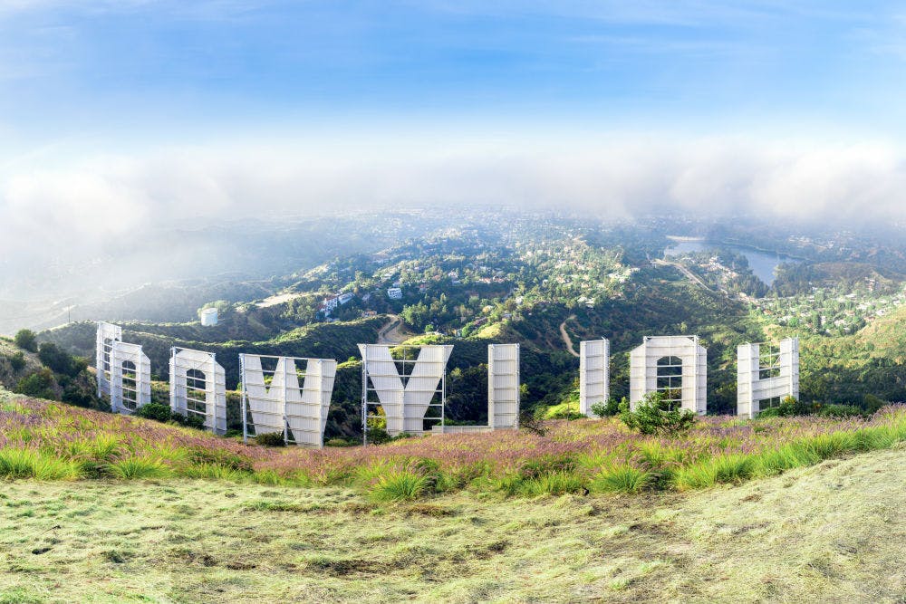 Gray Malin x Hollywood Sign header image